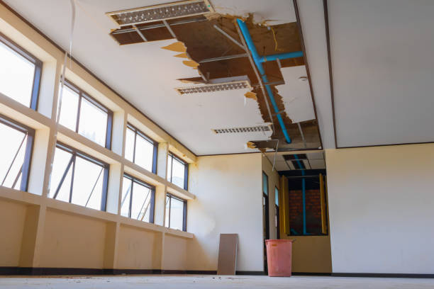 Best Ceiling water damage repair  in Ahtanum, WA
