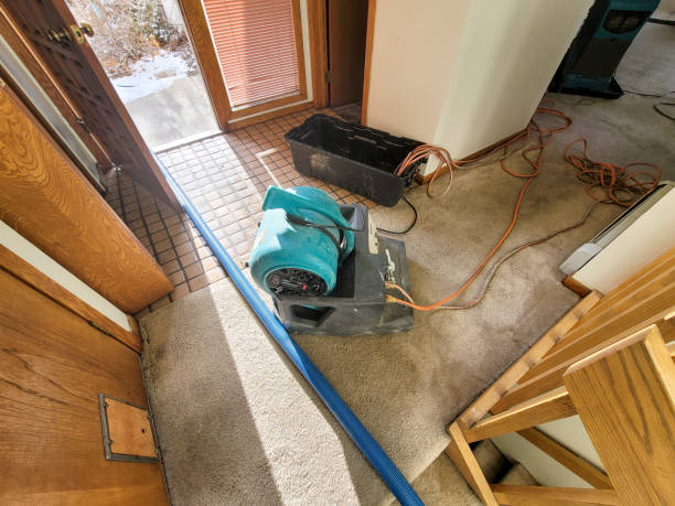 Best Mold removal after water damage  in Ahtanum, WA