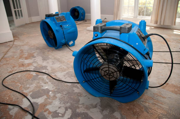 Best Local water damage restoration  in Ahtanum, WA