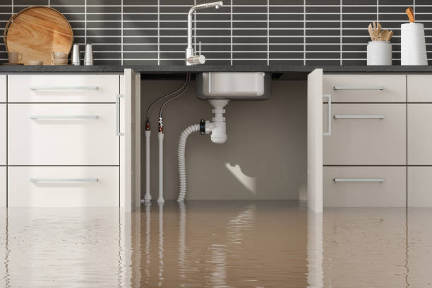 Best Professional water damage repair  in Ahtanum, WA