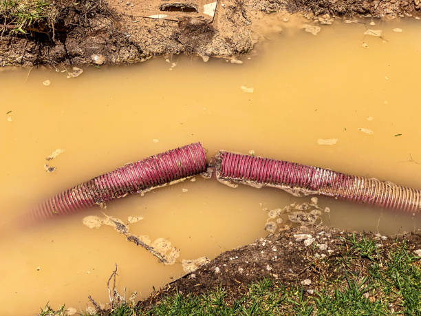 Best Carpet water damage restoration  in Ahtanum, WA